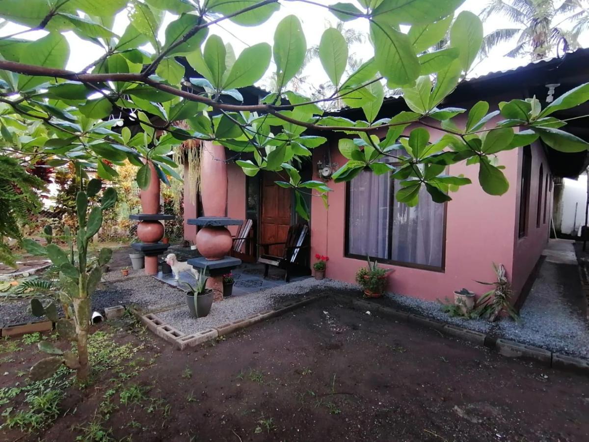 Micheck Beach House Tortuguero Exterior foto